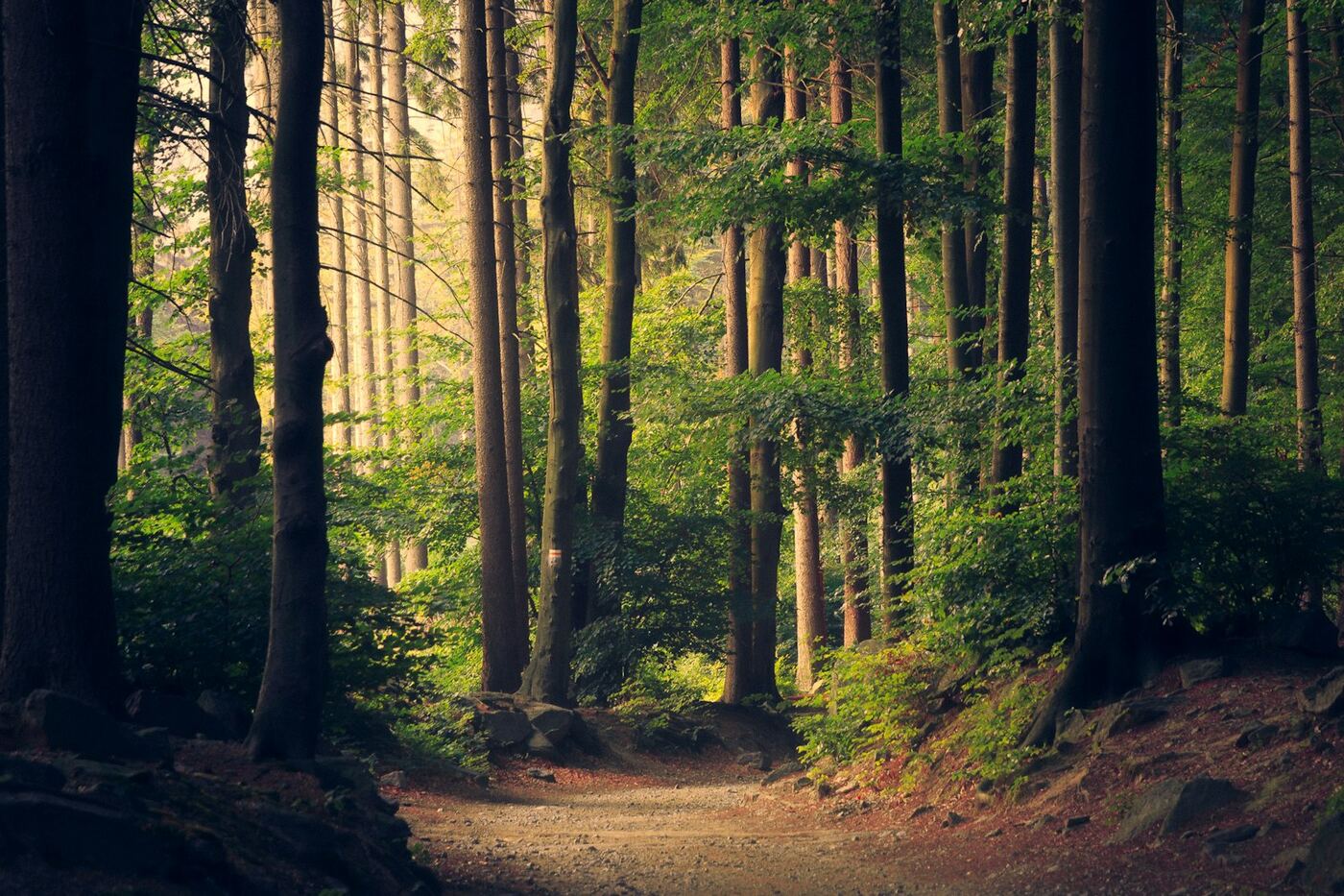 Park & nature — stock